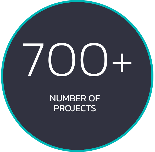 700+ Projects