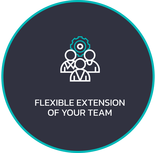 Flexible Extension of Your Team